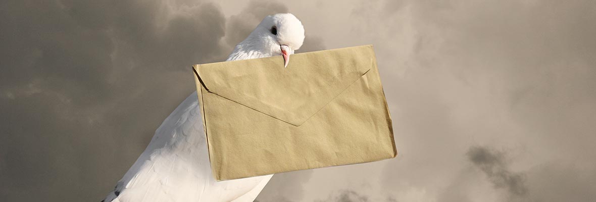 10 raisons de préférer le pigeon voyageur au mail